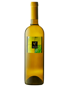 Chasselas / Fendant